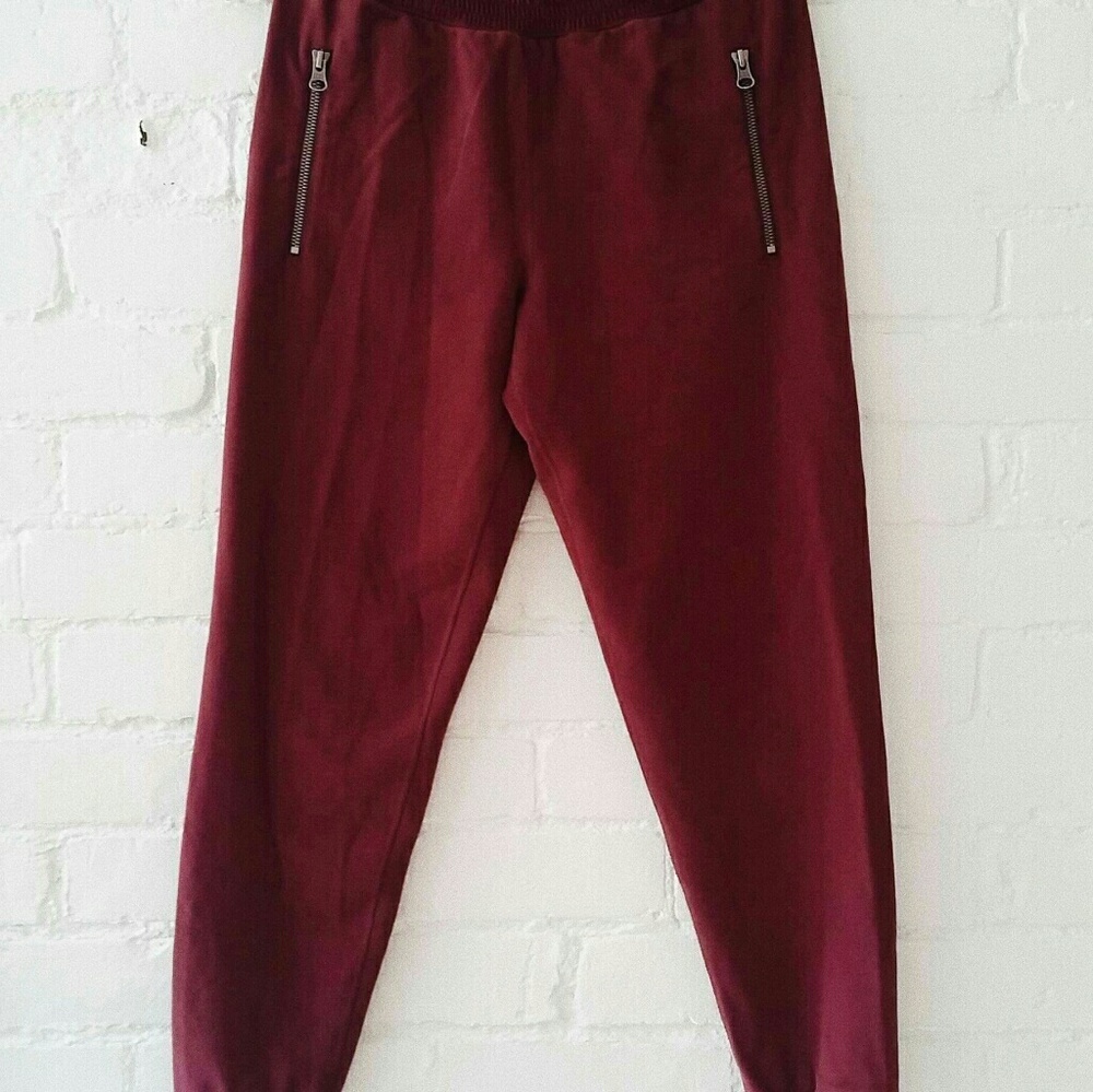 Aritzia joggers